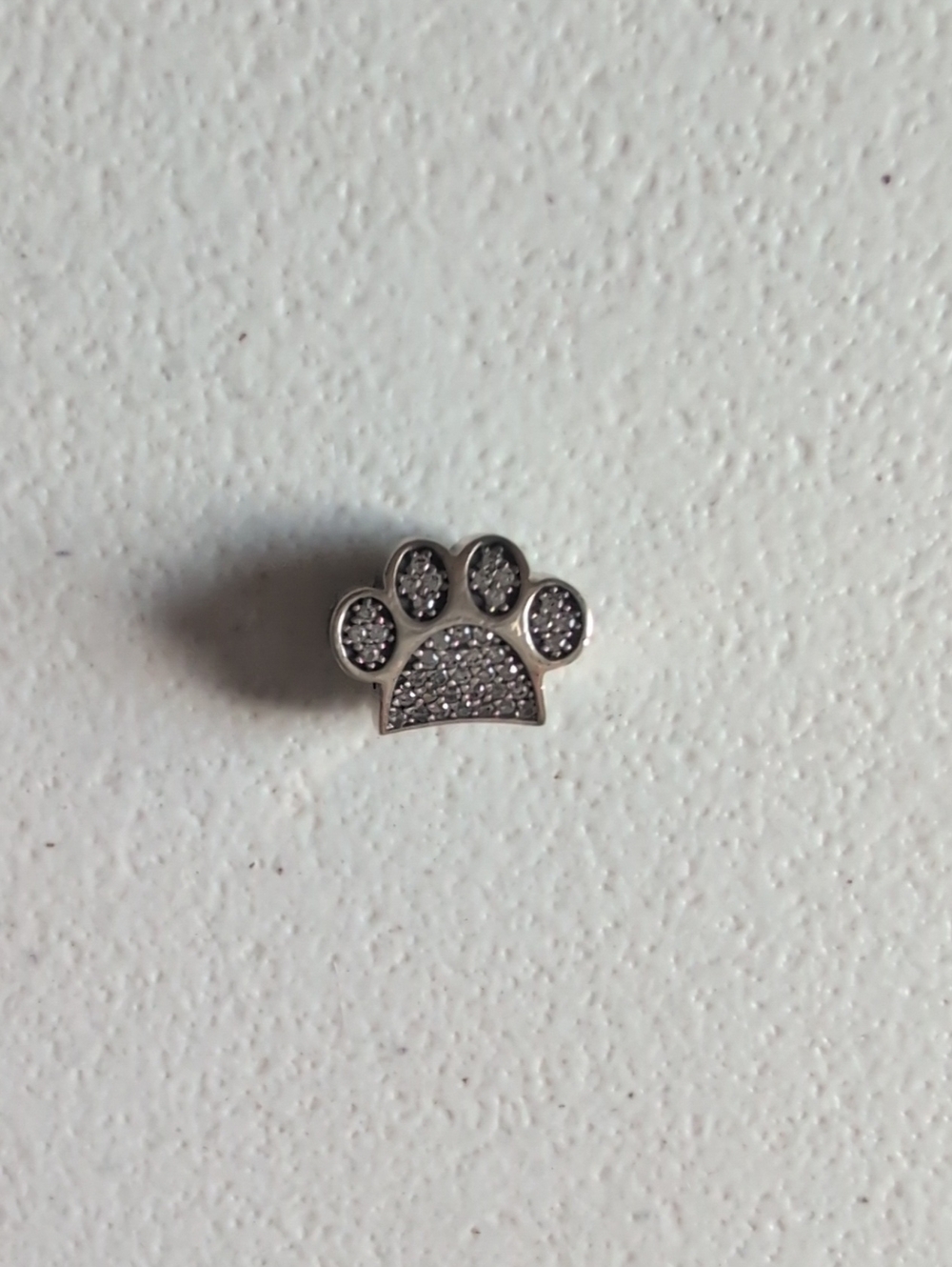 Textured Paw Pandora Charm